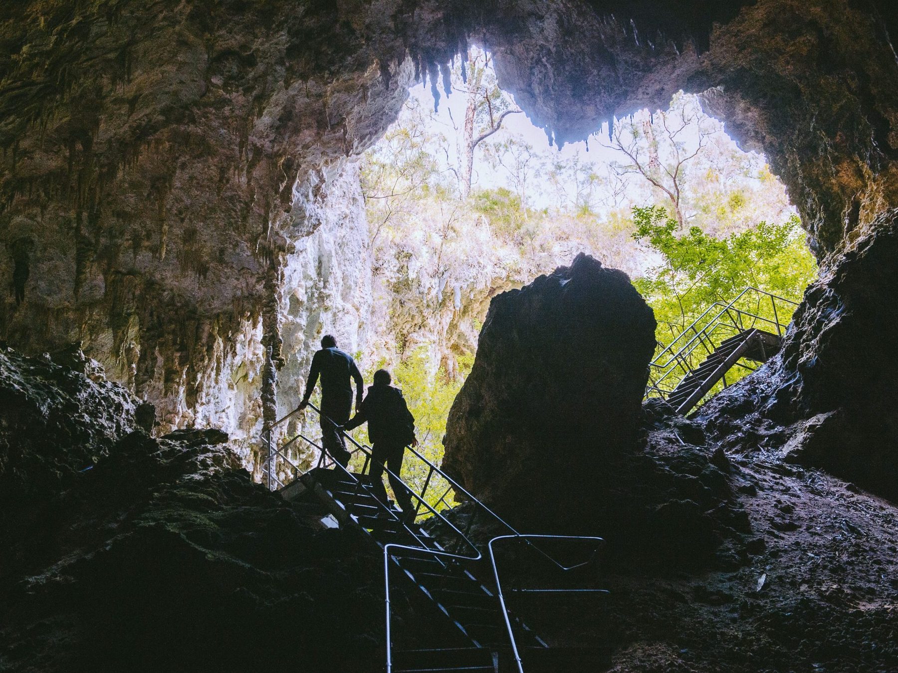 Forest, Cave & Lighthouse