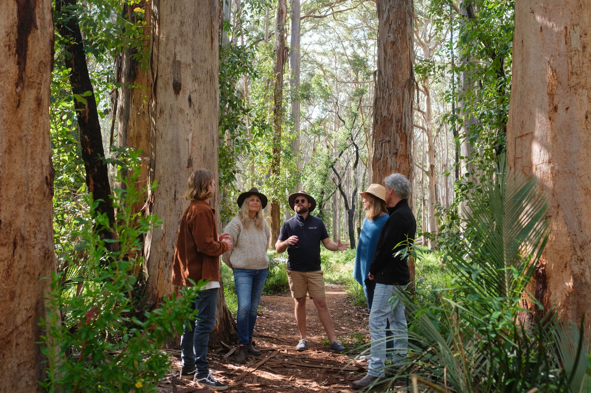 A McLeod Tours guide talking with four guests among the tall trees of Boranup Forest