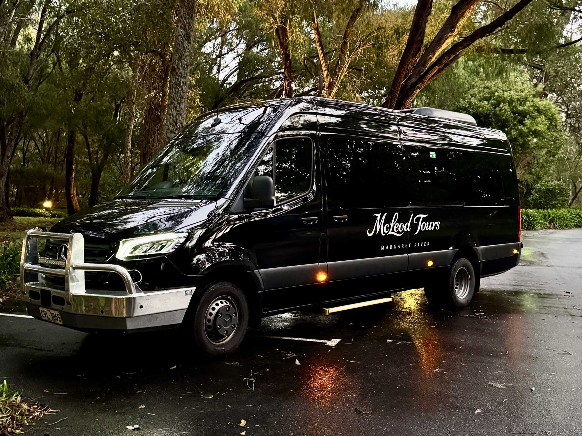 Mercedes-Benz Sprinter (14 passengers) — photo 1