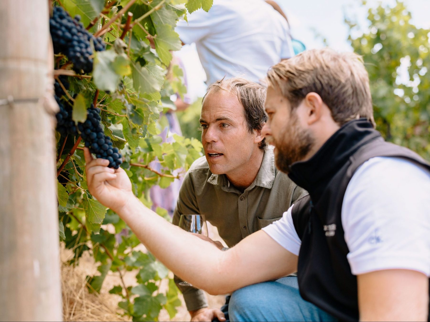 Touring the Margaret River region with McLeod Tours