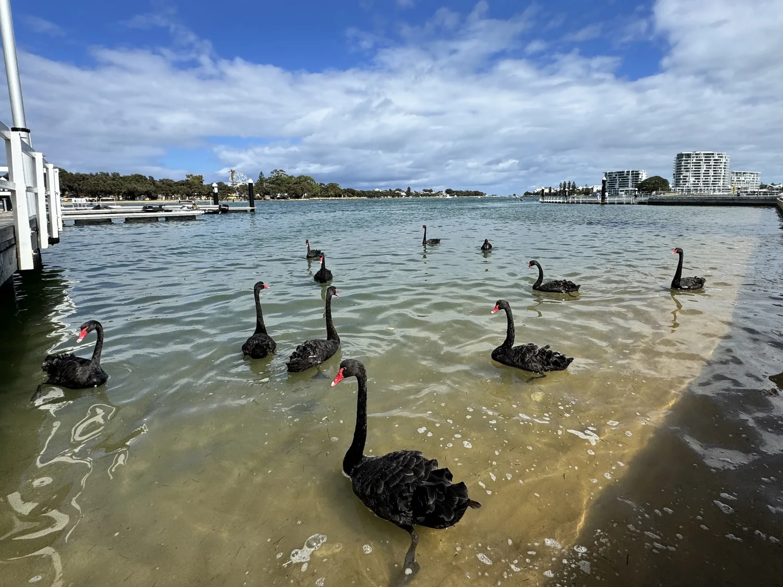 Mandurah Foreshore Coffee with a View, photograph 4