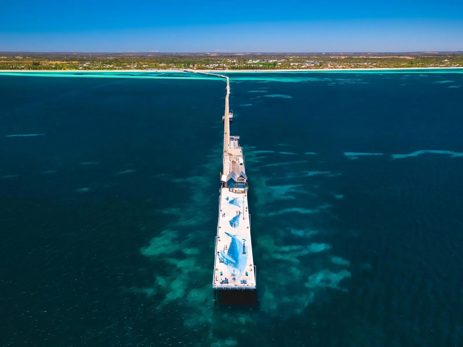 Busselton Jetty Train Ride, photograph 3