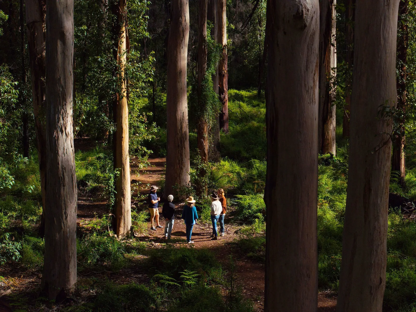 Scenic Drive through Boranup Forest & Native Honey Tasting, photograph 1
