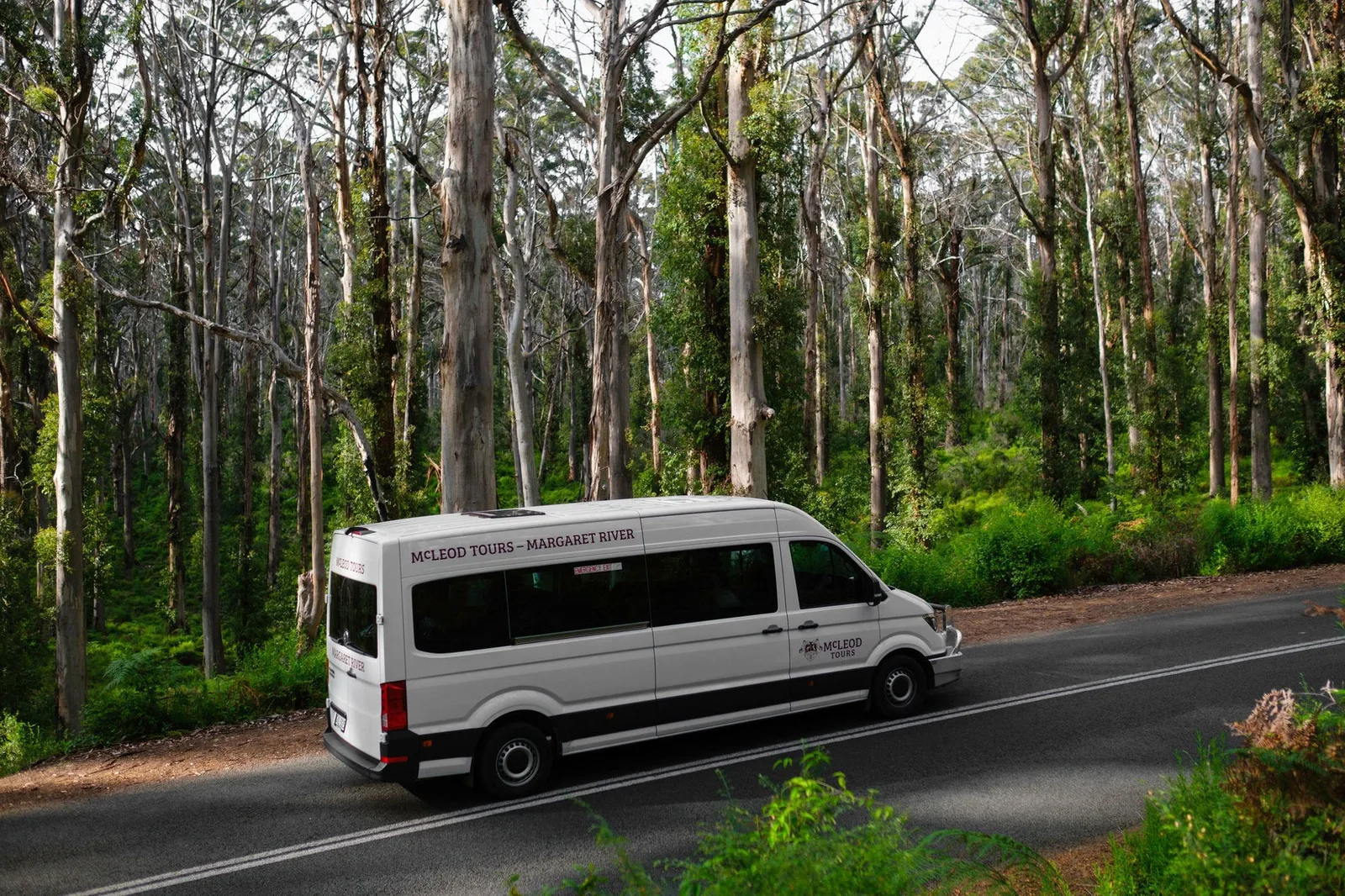 Scenic Drive through Boranup Forest & Native Honey Tasting, photograph 3
