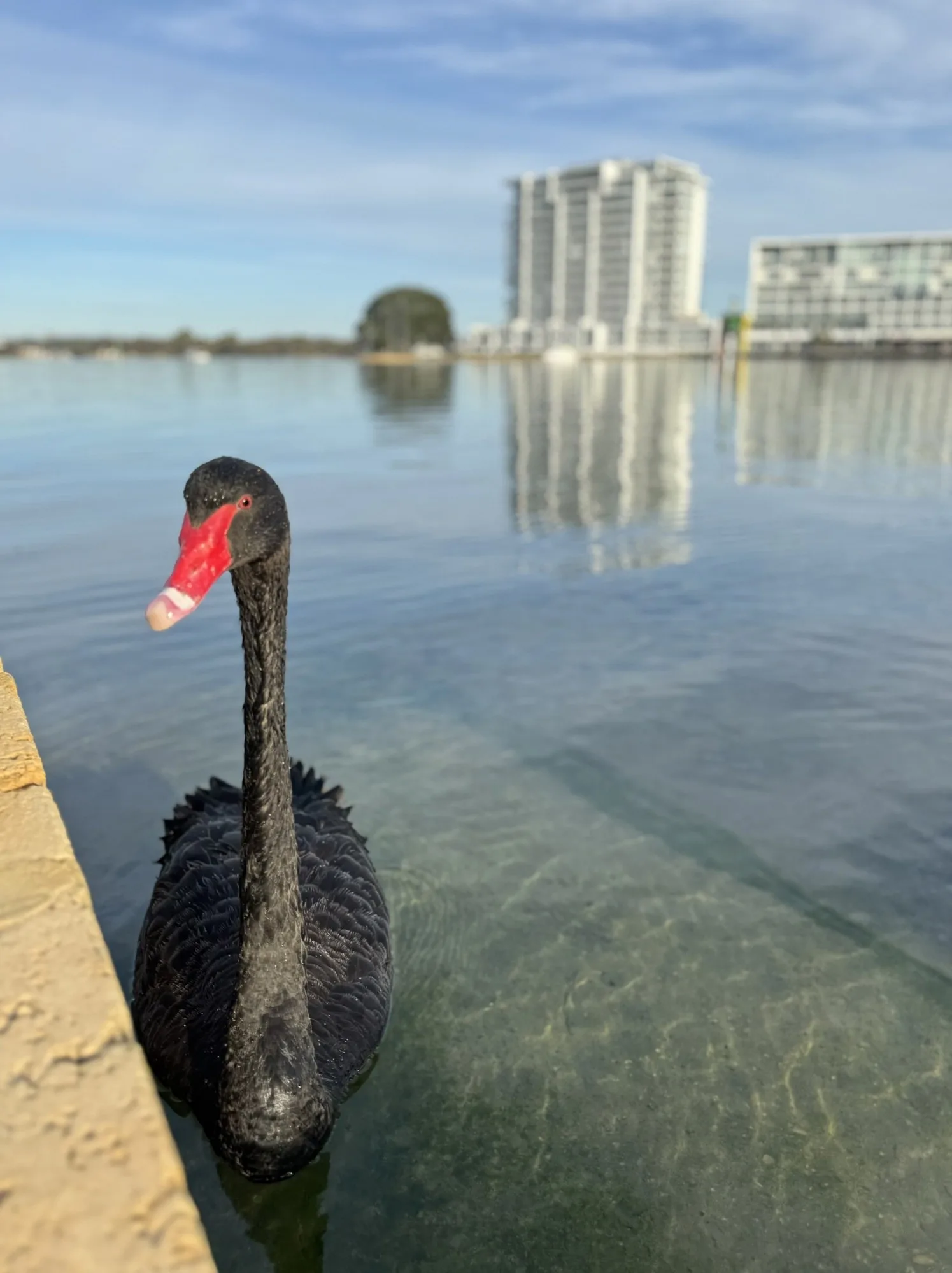Mandurah Foreshore Coffee with a View, photograph 3