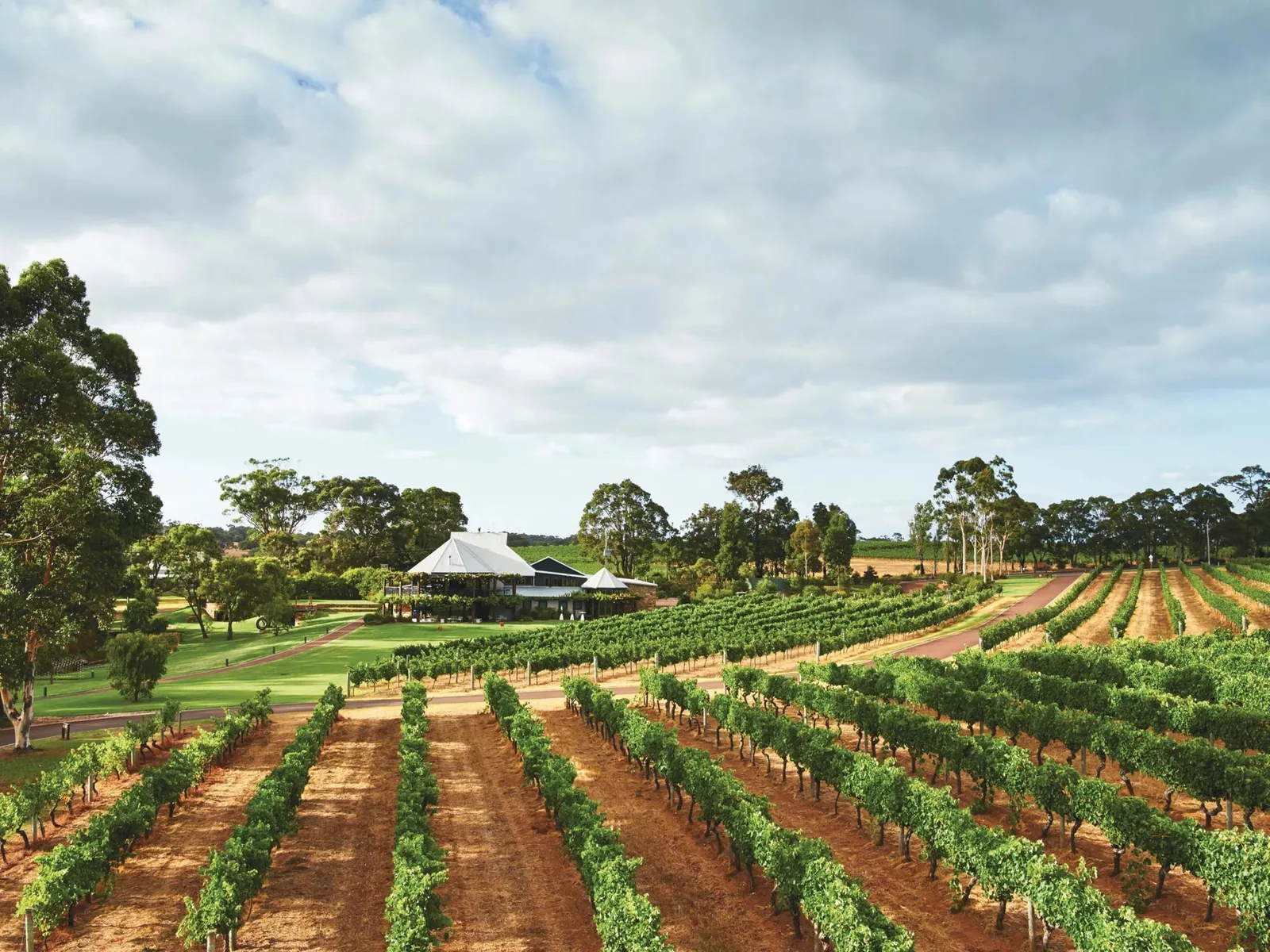 Vasse Felix – Wine Tasting & Three-Course Lunch, photograph 1