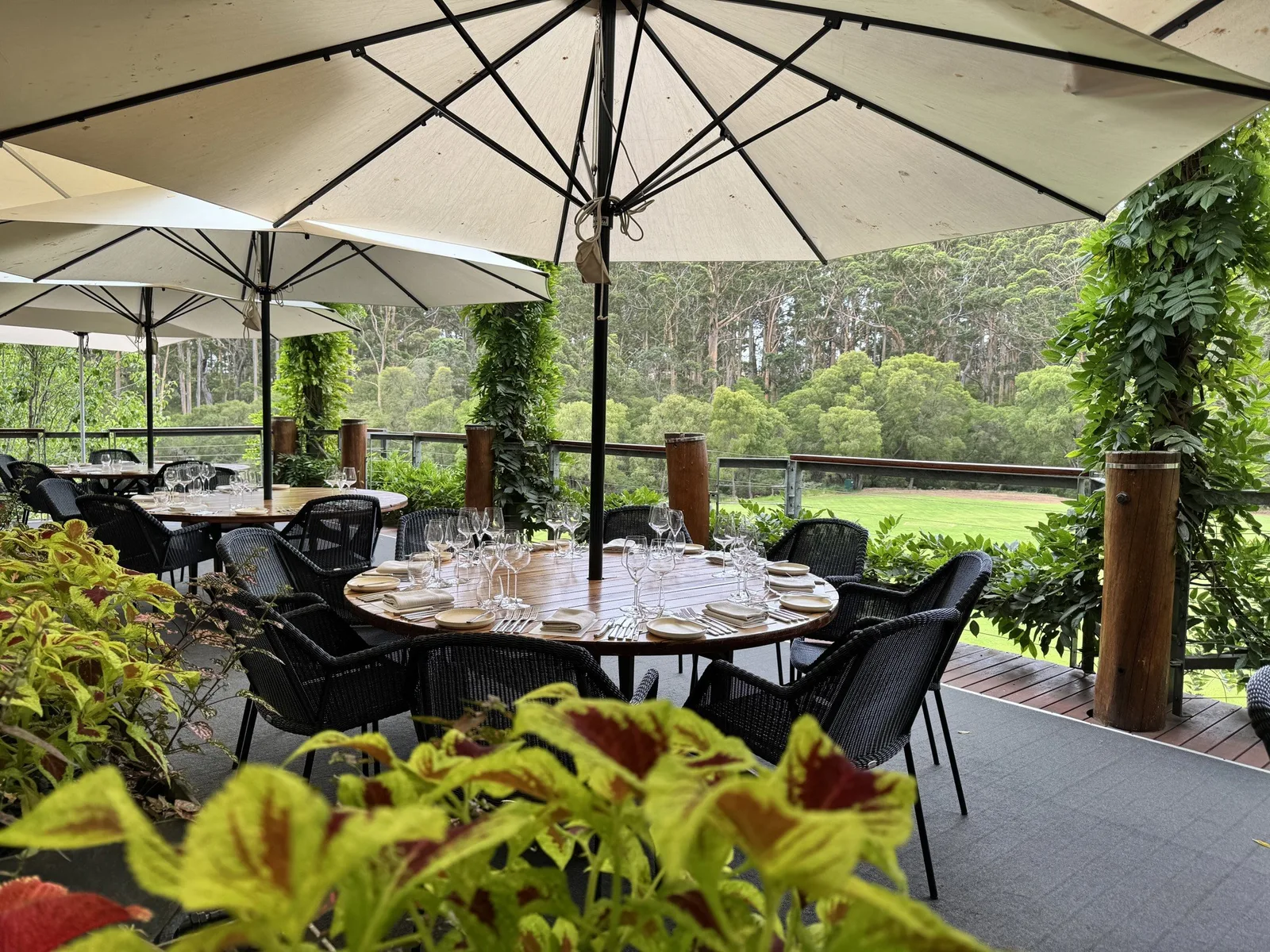 Wine Tasting & Lunch at Leeuwin Estate, photograph 2