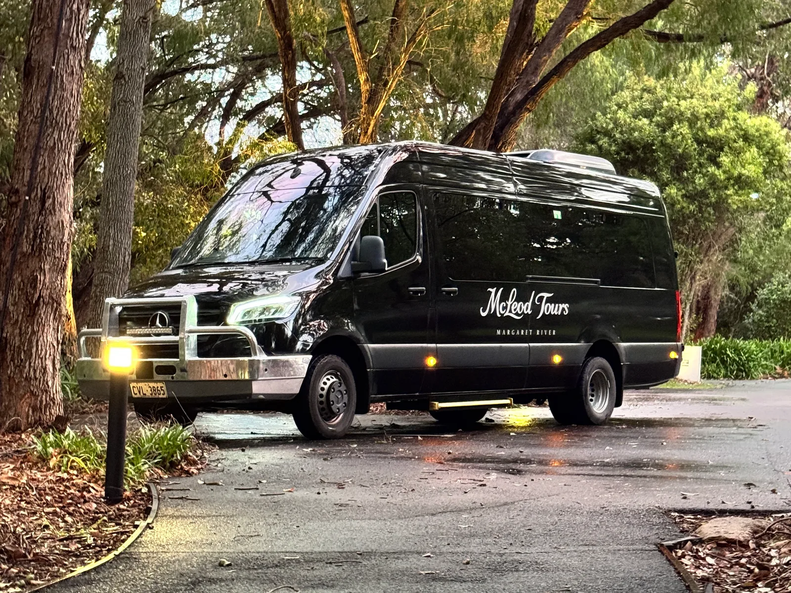 The black McLeod Tours Mercedes-Benz Sprinter parked beneath Norfolk pines