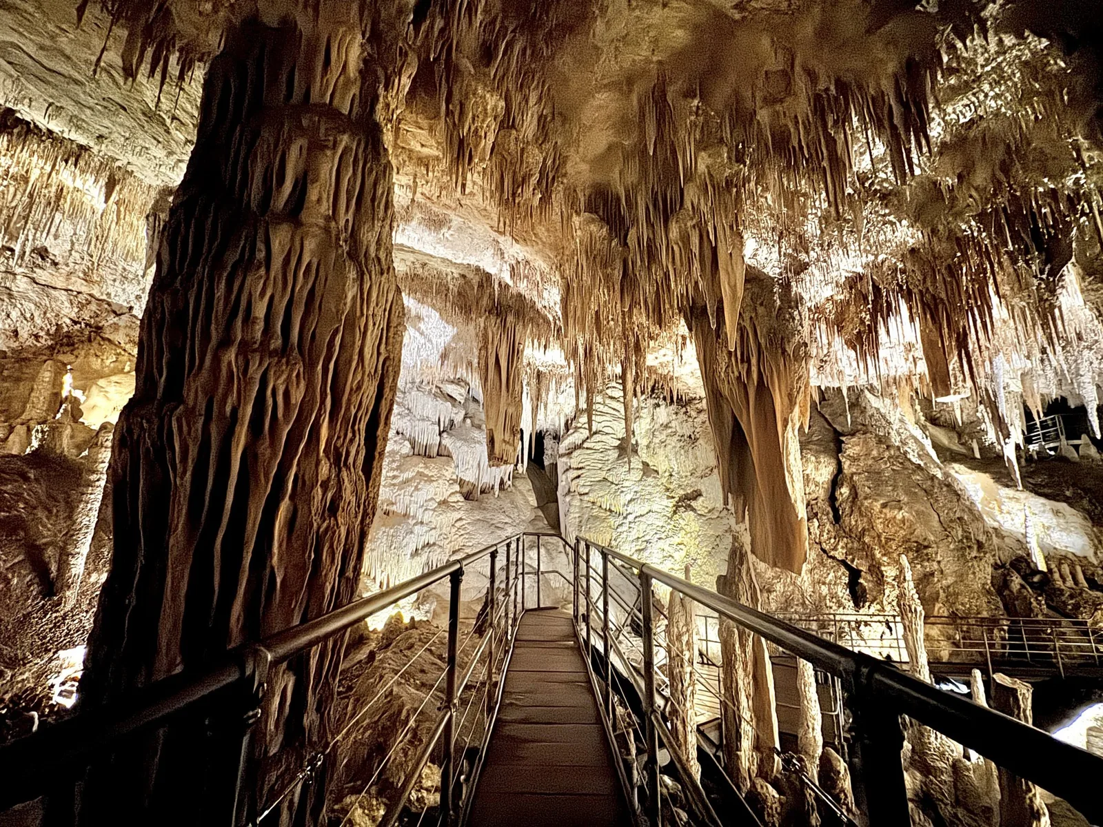 Mammoth Cave Guided Tour (Guided by McLeod Tours), photograph 2